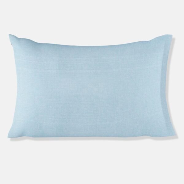 Blue Cotton Pillow Cover Set Of 2