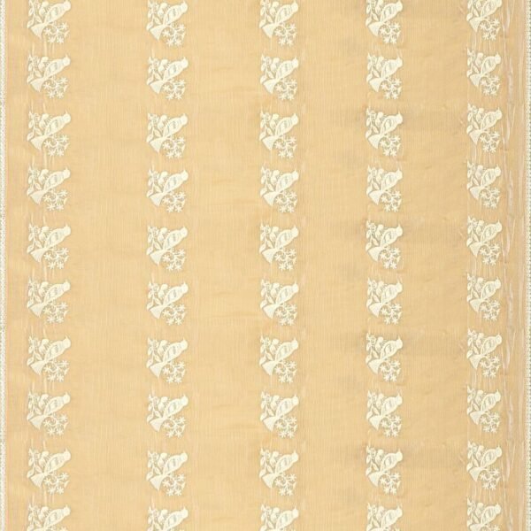 DARK CREAM and CREAM EMBROIDERED JIMMY CHOO Saree with FANCY - Image 3