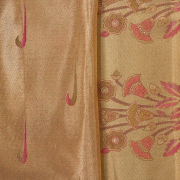 Rangkat Kanchipattu Tissue Silver Saree - Image 2