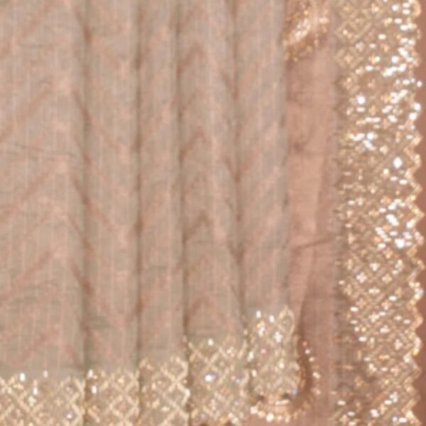 Tissue Floral Embroidery Saree