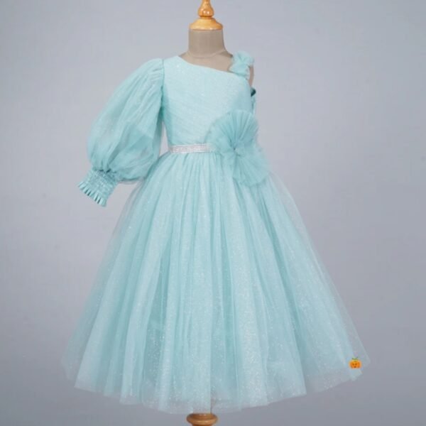 Puffy Sleeve Long Net Gown for Girls