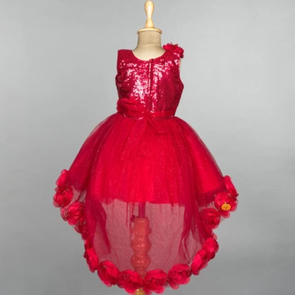 Rani Sequin Floral Girls Frock - Image 3