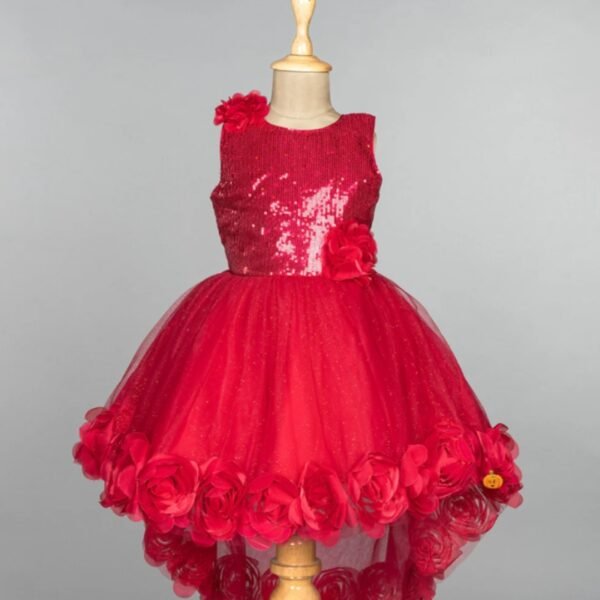 Rani Sequin Floral Girls Frock